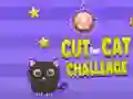 Spill Kapp For Katt Utfordring online Spill Kapp For Katt Utfordring online