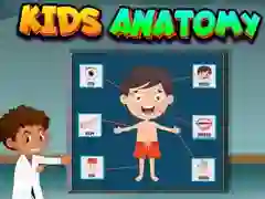 Spill Barnas Anatomi online Spill Barnas Anatomi online