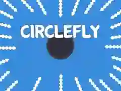 Spill Sirkel Fly online