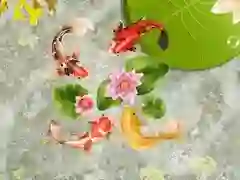 Spill Koi-fiskedam online Spill Koi-fiskedam online