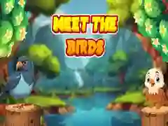 Spill Møt Fuglene online Spill Møt Fuglene online