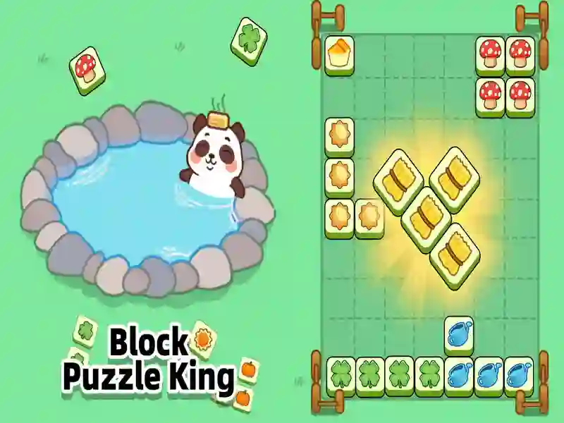 Spill Block Puzzle King online