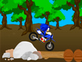 Spill Kryss Sonic Løp online