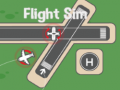 Spill Flysimulator online