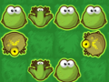 Spill Frog Rush online