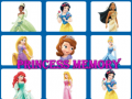 Spill Prinsesse Minne online