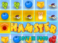 Spill Hamster Tapt I Mat online