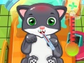 Spill Katt Doktor online