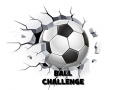 Spill Ballutfordring online