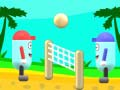 Spill Strandvolleyball online