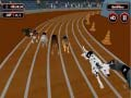 Spill Galen Hund Race Feber online