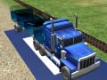 Spill Transport av sjødyr online