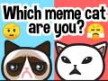 Spill Hvilken meme katt er du? online