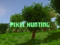 Spill Pixeljakt online