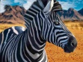 Spill Zebra jeger online