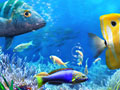 Spill La oss Fiske online