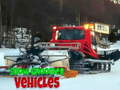 Spill Snøkjøring Kjøretøy online