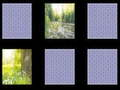 Spill Naturen Minnet online