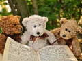 Spill Kosesøt Tre Teddy Puslespill online