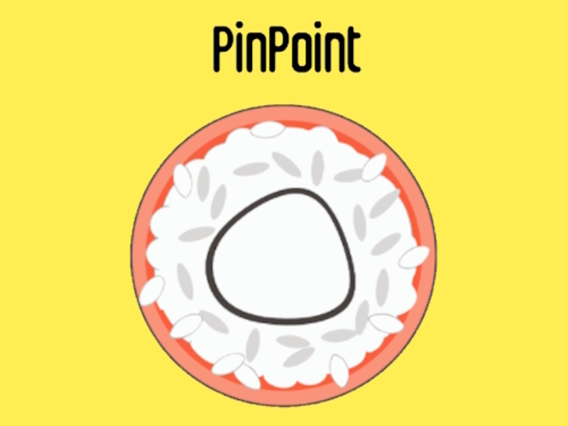 Spill Pinpoint online