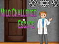 Spill Amgel Mild Challenge Escape online