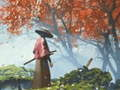 Spill Samurai Refleksjon online