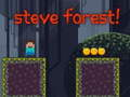 Spill Steve Skog online