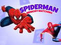 Spill Spiderman Hukommelsespill online