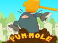 Spill Pum-Mole online