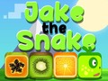 Spill Jake Slangen online
