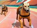 Spill Hund3D Løp online