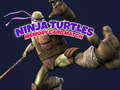 Spill Ninja Skilpadde Minnekort Match online