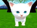 Spill Kjapp Katt online
