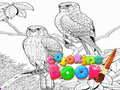 Spill Fargebok for voksne online