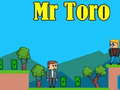 Spill Mr Toro online