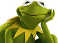 Spill Fargebok for Kermit Frosken online