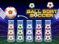 Spill Ball Sortering Fotball online