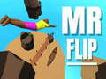 Spill Herr Flip online