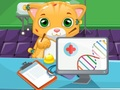 Spill Katt Lege online