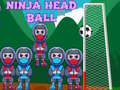 Spill Ninja Hode Ball online