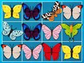 Spill Mahjong-kongen online