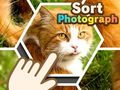 Spill Sorter fotografi online