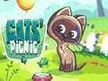 Spill Kattenes piknik online