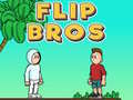 Spill Flip Brødre online
