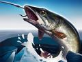 Spill Isfiske 3D online