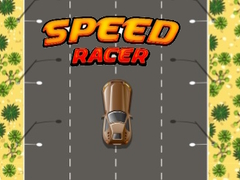 Spill Rask Racer online