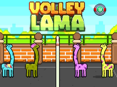 Spill Volley Lama online