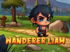Spill Vandrer Liam online