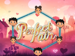 Spill Perfekt par online