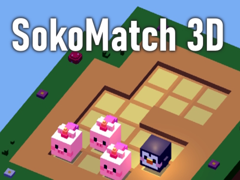 Spill Sokomatch 3D online